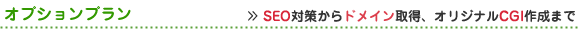 ドメインやCGI作成、SEO対策などに関するオプションプラン