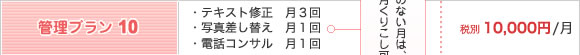 テキストと写真の修正に電話コンサルがついてる月額10000円プラン