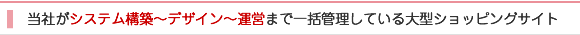 制作実績01　当社がシステム構築～デザイン～運営まで一括管理している大型ショッピングサイト