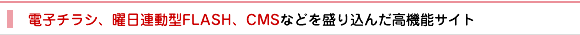 制作実績10 電子チラシ、曜日連動型FLASH、CMSなどを盛り込んだ高機能サイト