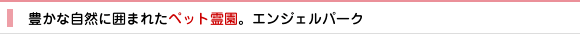 豊かな自然に囲まれたペット霊園。エンジェルパーク