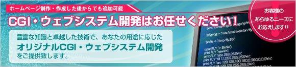 CGI(Ruby,PHP)、ウェブシステム開発のご案内